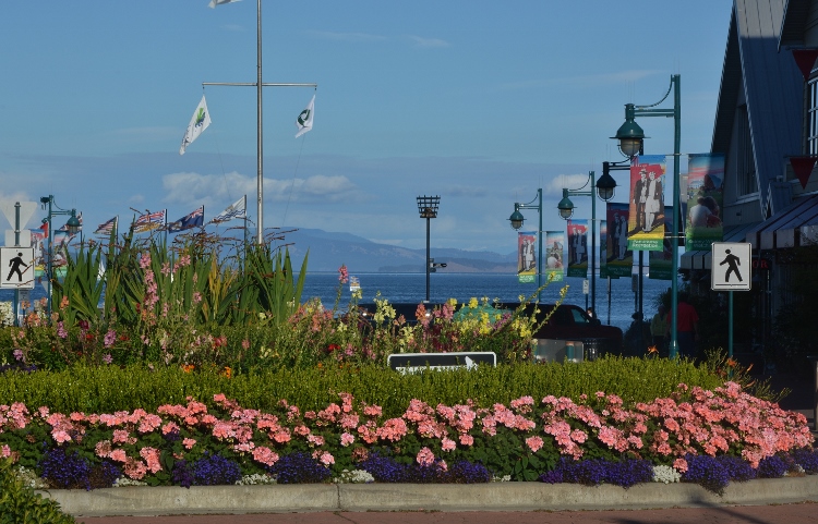 Sidney harbor